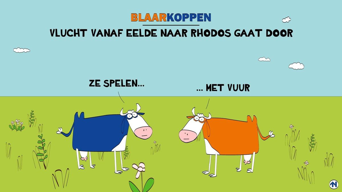 Blaarkoppen blijven met beide benen op de grond staan - RTV Noord