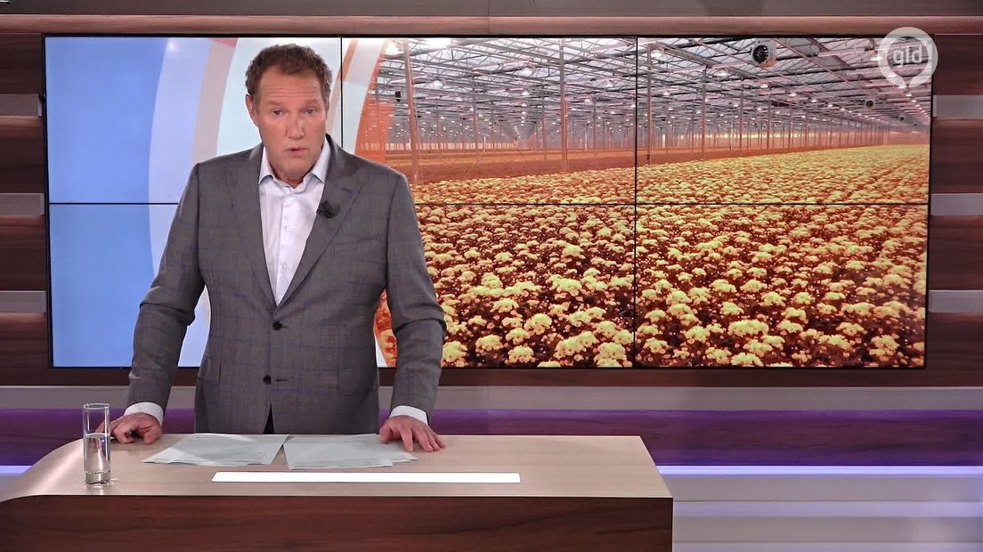 GLD Nieuws