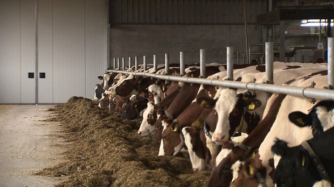 Niet alle boeren blij met uitspraak rechter