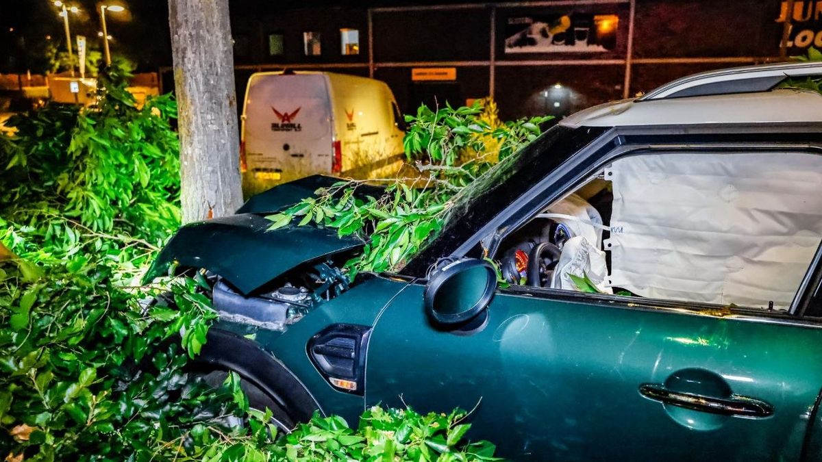 Flinke crash in Enschede: boom boort zich door auto, bestuurder op de vlucht