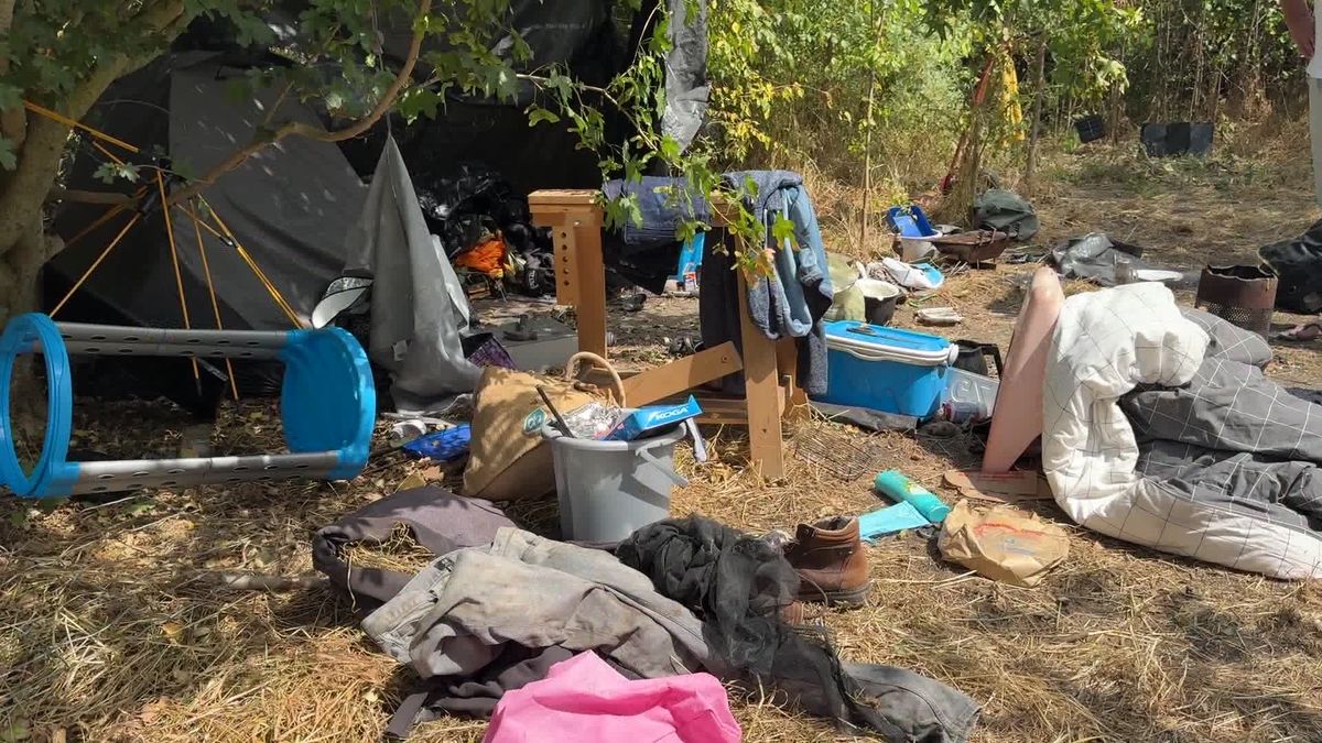 In dit bos in Ritthem verblijft een groep daklozen en verslaafden