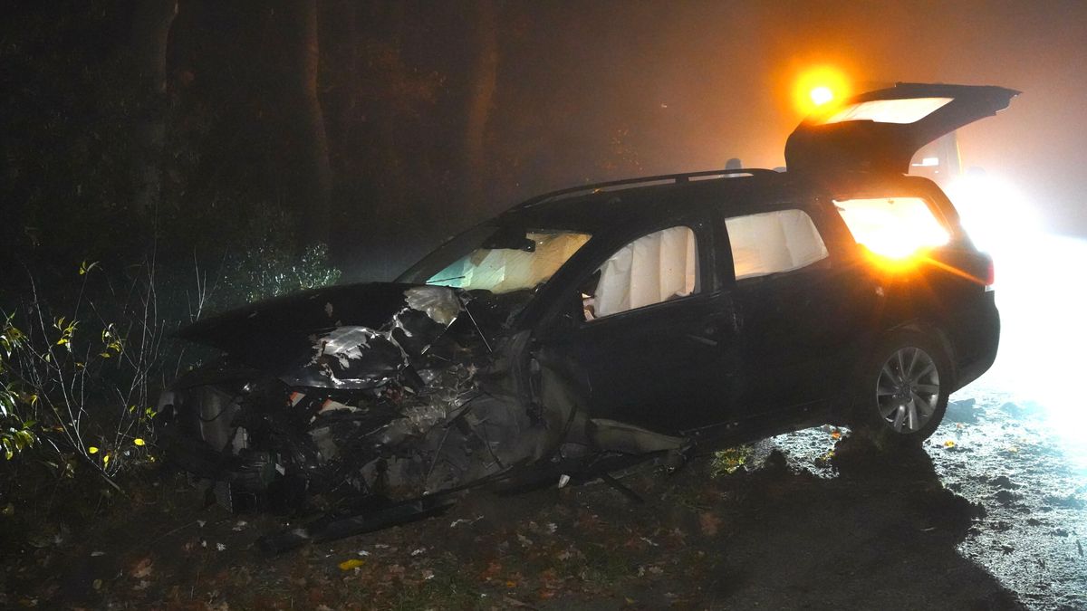 Automobilist gewond na botsing tegen boom