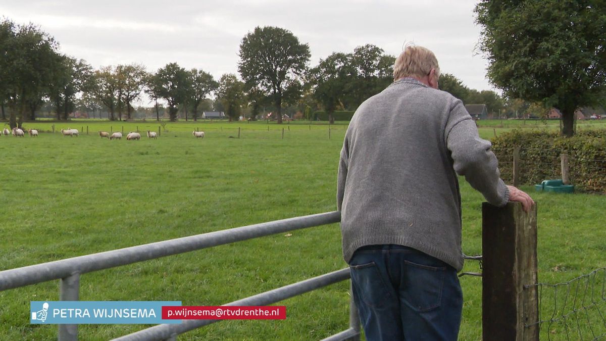 Provincie hoeft miskraam bij schapen na wolvenaanval niet te vergoeden