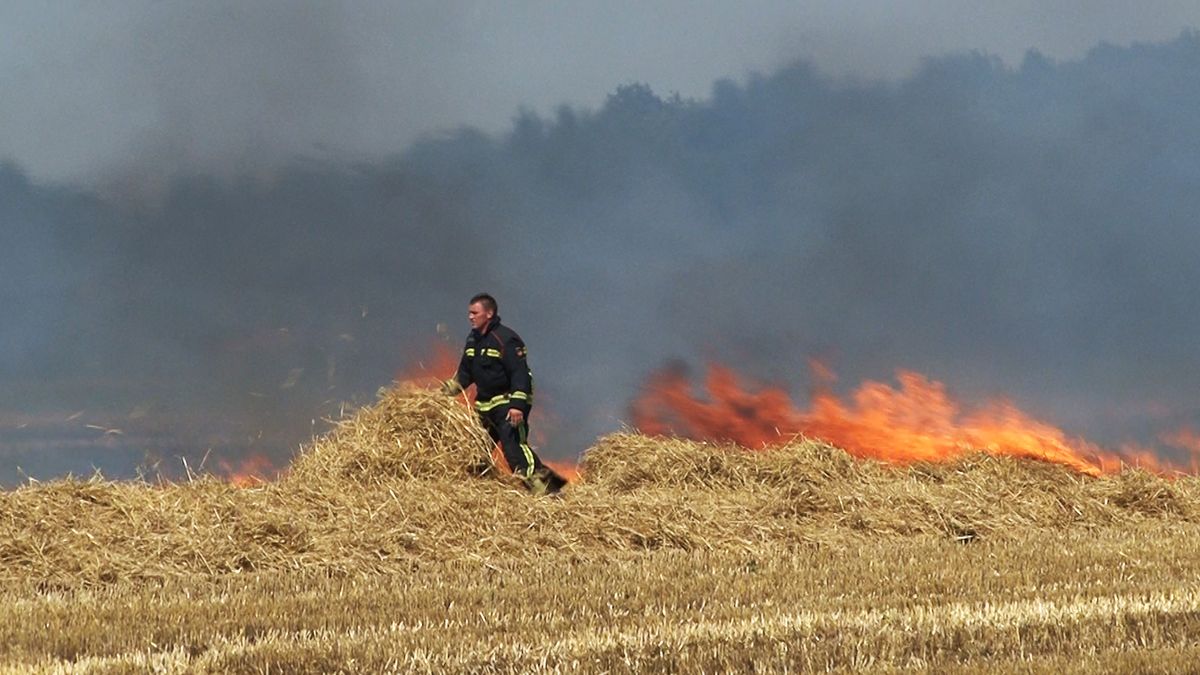 Brand op korenveld in Kiel-Windeweer