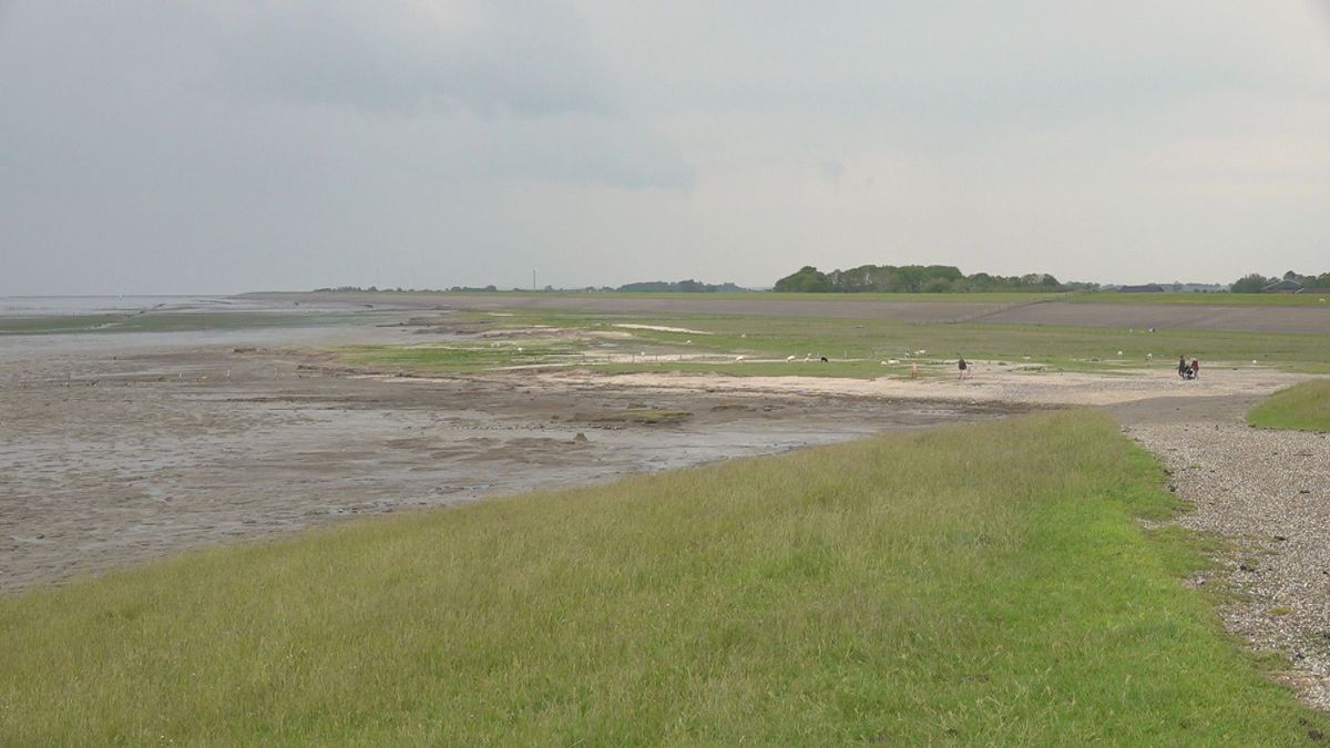 Petitie voor bescherming kwelder bij Wierum overhandigd