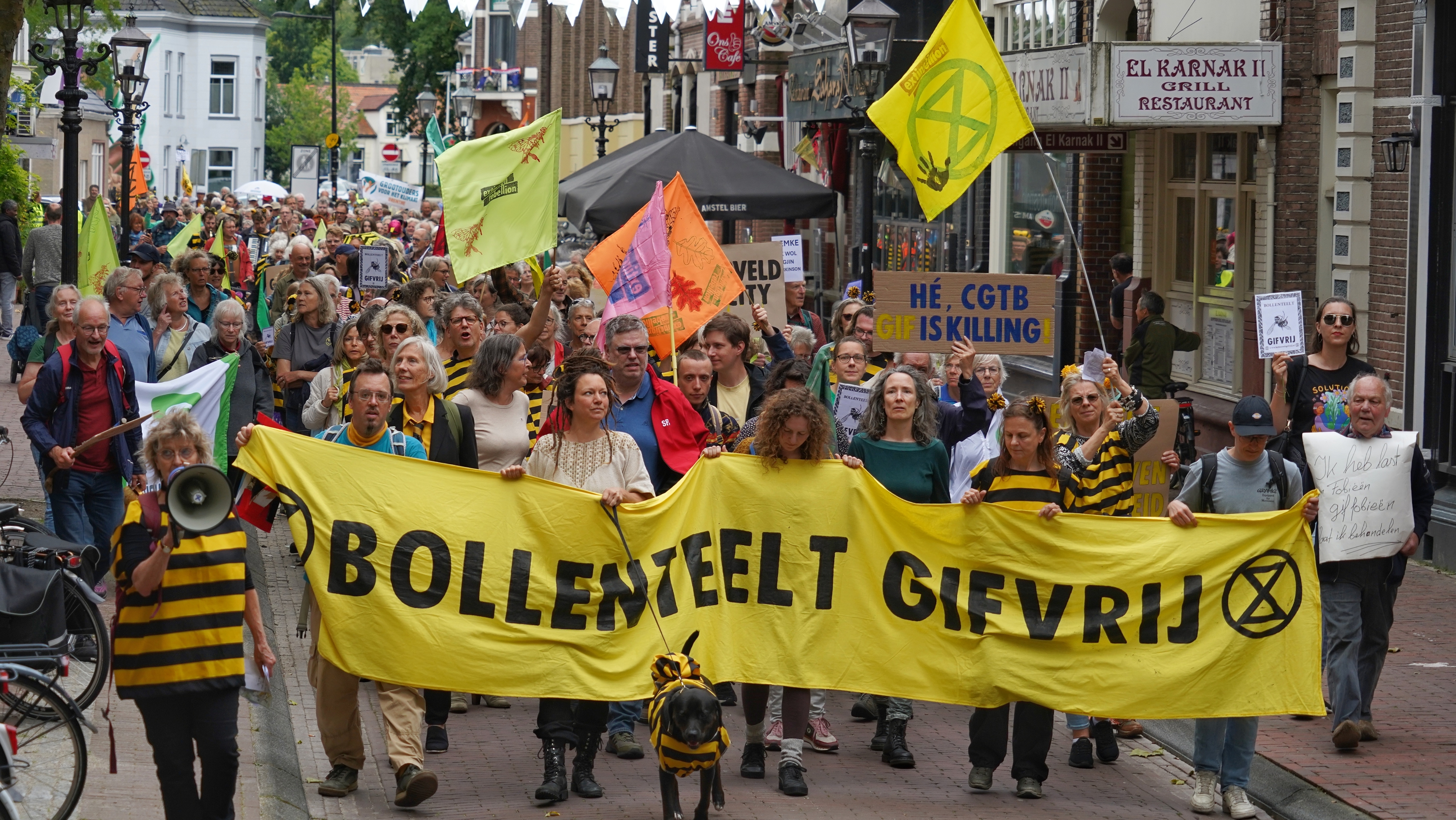 Protestmars In Assen Tegen Middelengebruik In Bollenteelt - RTV Drenthe