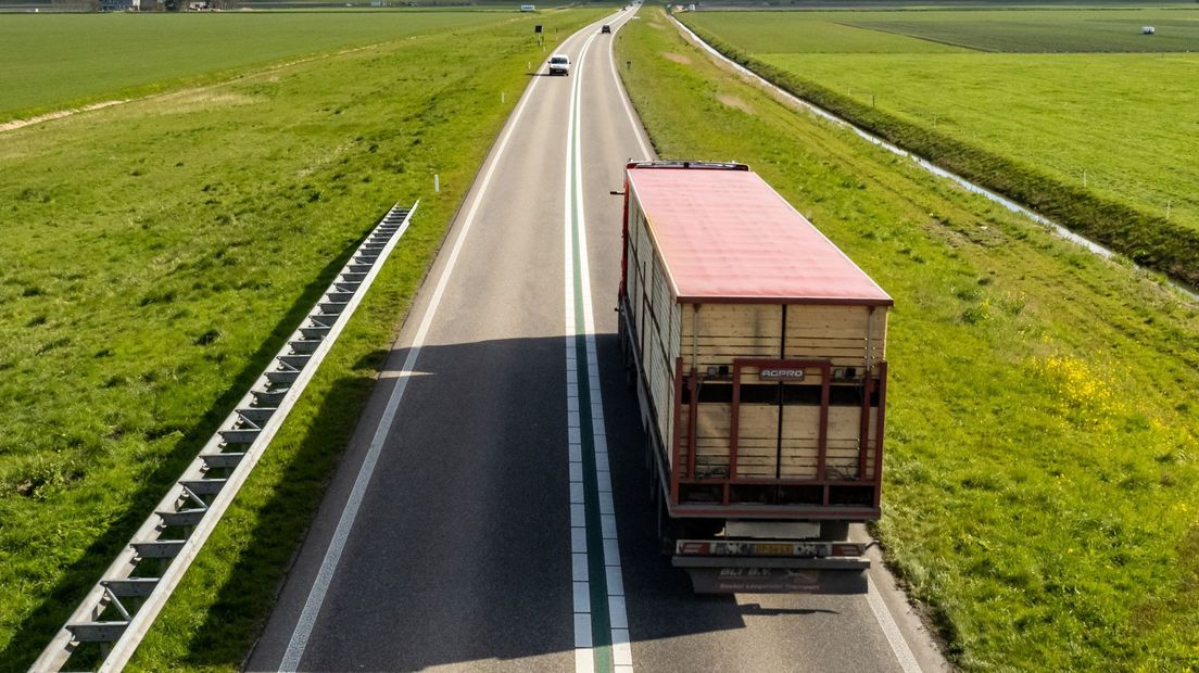 Beeld ter illustratie
