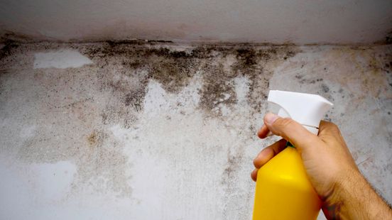 Buren verhuizen om ondraaglijke stank van Zwollenaar: 'Urine in muren getrokken' Home