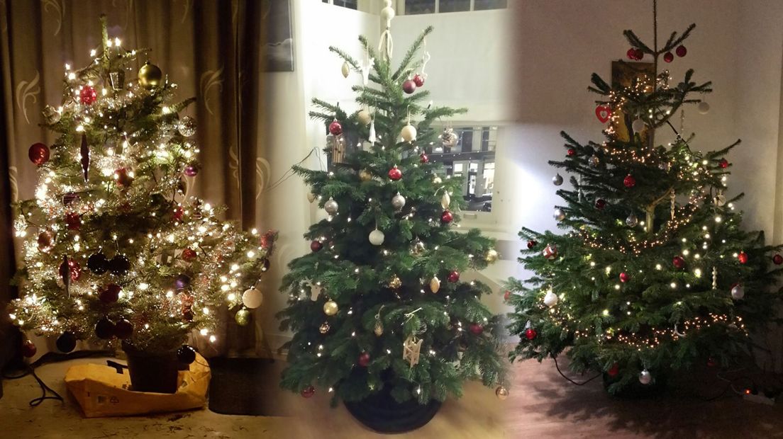 Dit zijn de kerstbomen van onze redacteuren, wij willen graag ook die van jullie zien (Foto's: Omroep West)