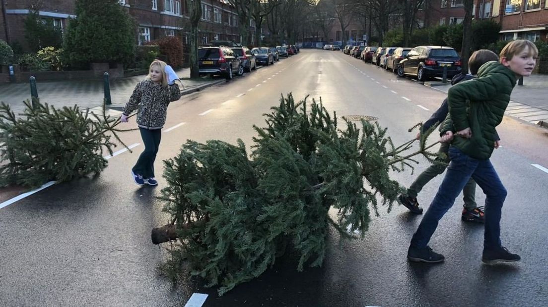 Verloot je Boompje kerstbomen