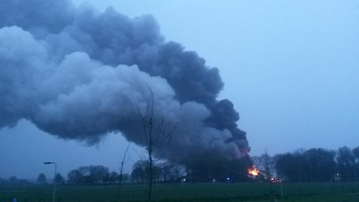 Grote brand in varkensschuur Langeveen, 2000 varkens om het leven gekomen