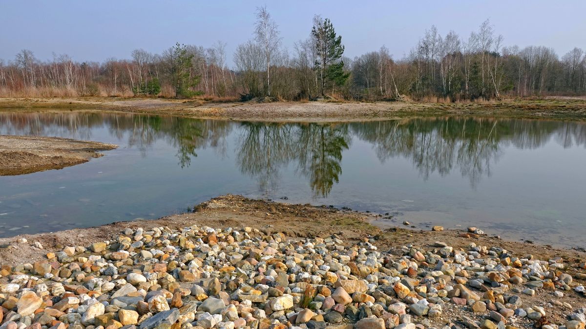 Limburg Kiekt: Oostrum, Nederweert, Voerendaal en...