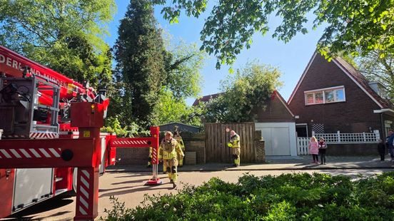 Boom valt op voormalige snackbar