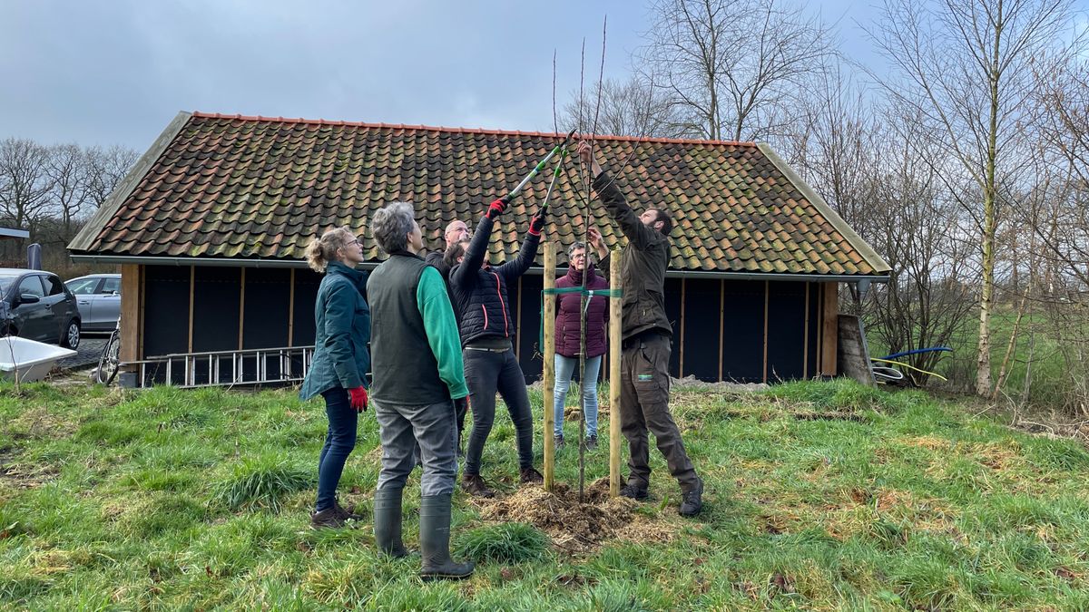 Fruitboombrigade uit Stuifzand leert de kneepjes van het snoeien: 'Zorgt voor grote impact op het la