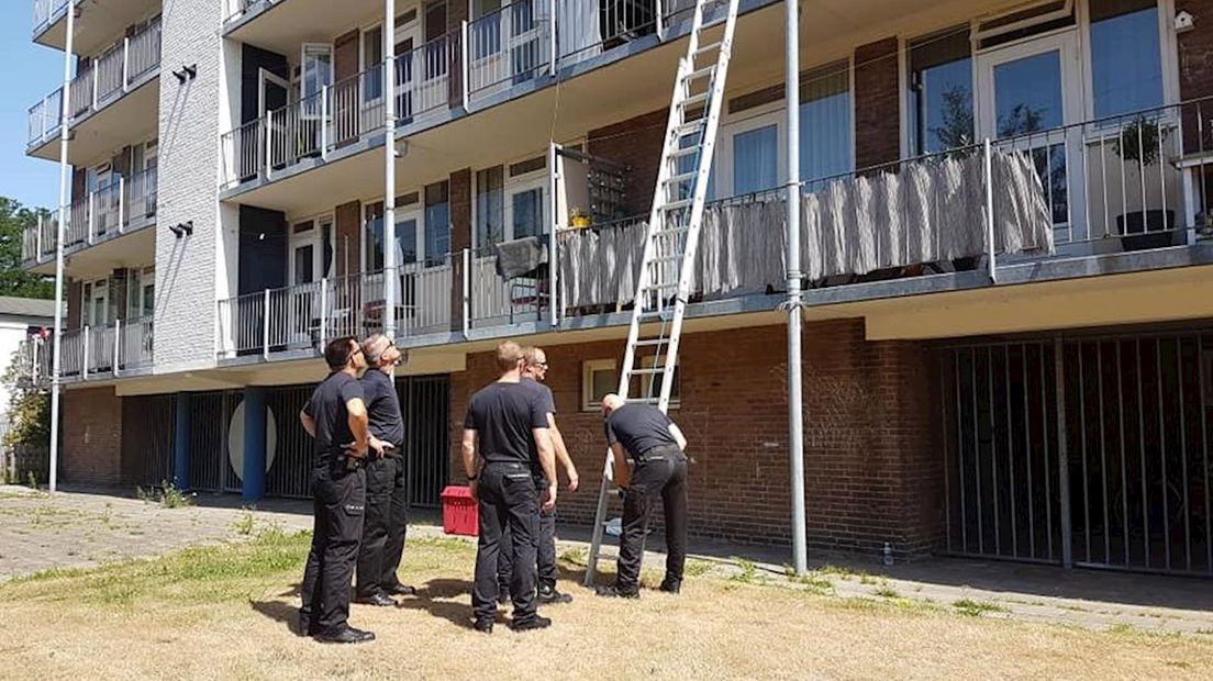 Konijn valt uit flat in Zwolle: politie doet nare ontdekking op balkon