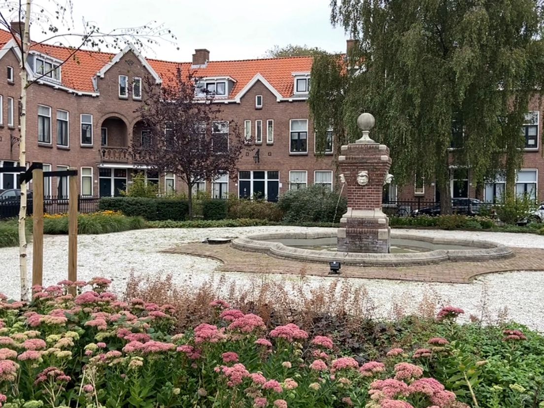 Het Patrimonium's Hof in de wijk Bloemhof