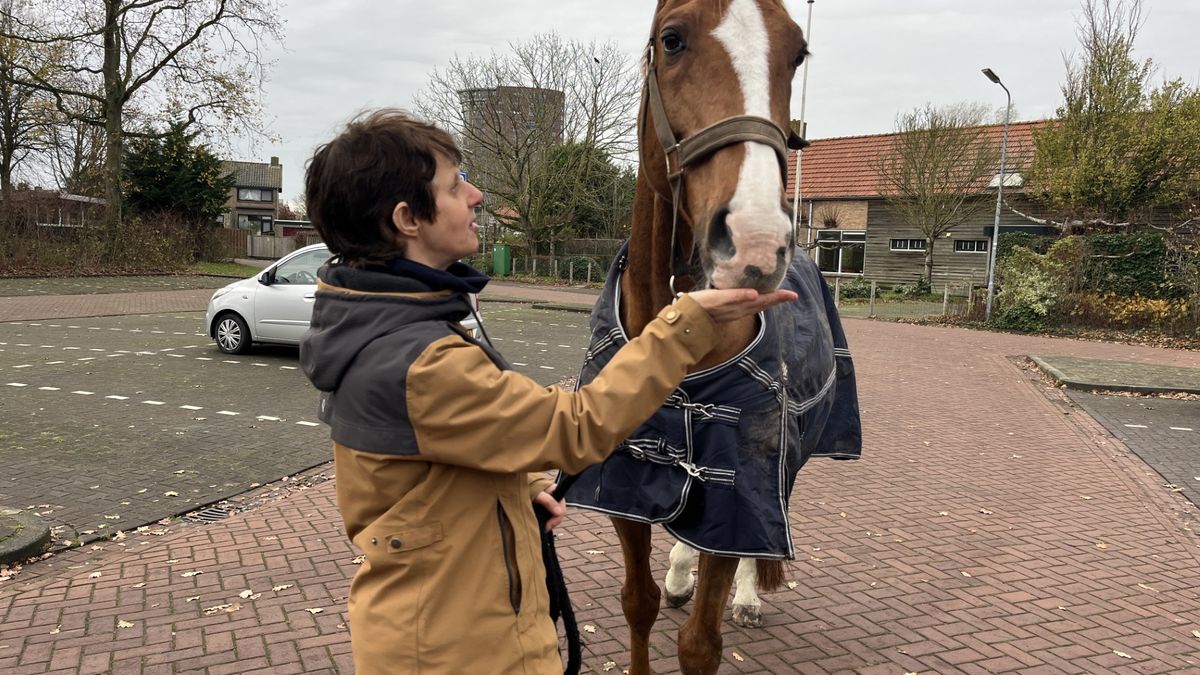 Sluiting manege Paardoes zorgt voor onrust, maar 's Heeren Loo ziet geen andere uitkomst