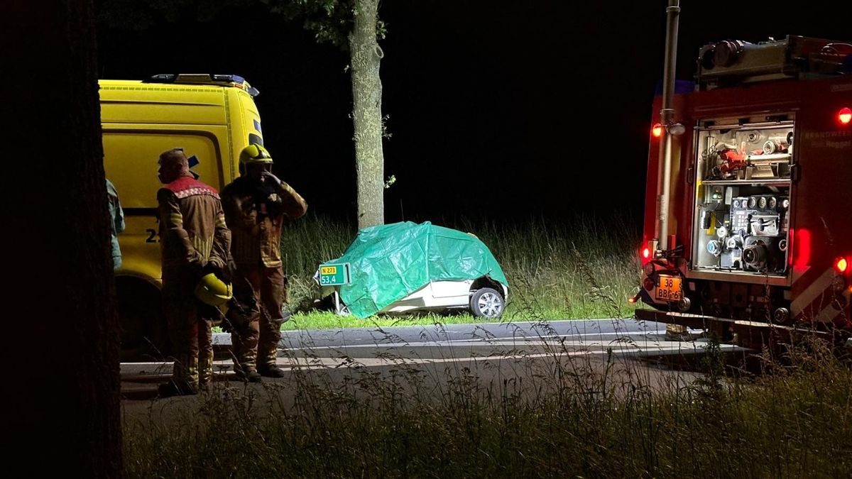 Auto botst tegen boom naast N273: vrouw (20) overleden