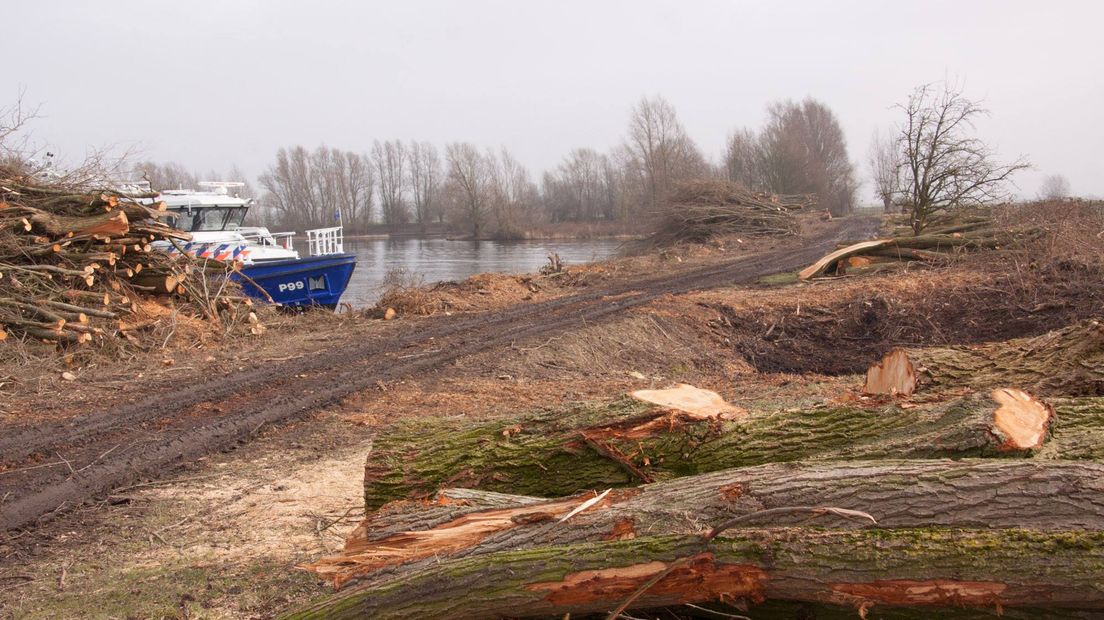 Rijkswaterstaat heeft per ongeluk vijftien tot twintig knotwilgen, negen fruitbomen en overige begroeiing weggehaald in de Redichemse Waard bij Culemborg. De bedoeling was dat de bomen en de begroeiing uitgedund zouden worden, maar er werd dus een stuk rigoureuzer te werk gegaan.