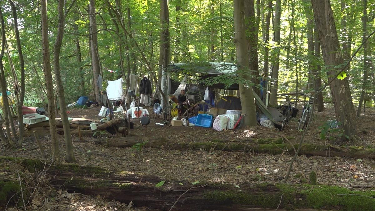 Opvang dakloze arbeidsmigranten verhuist naar Velden