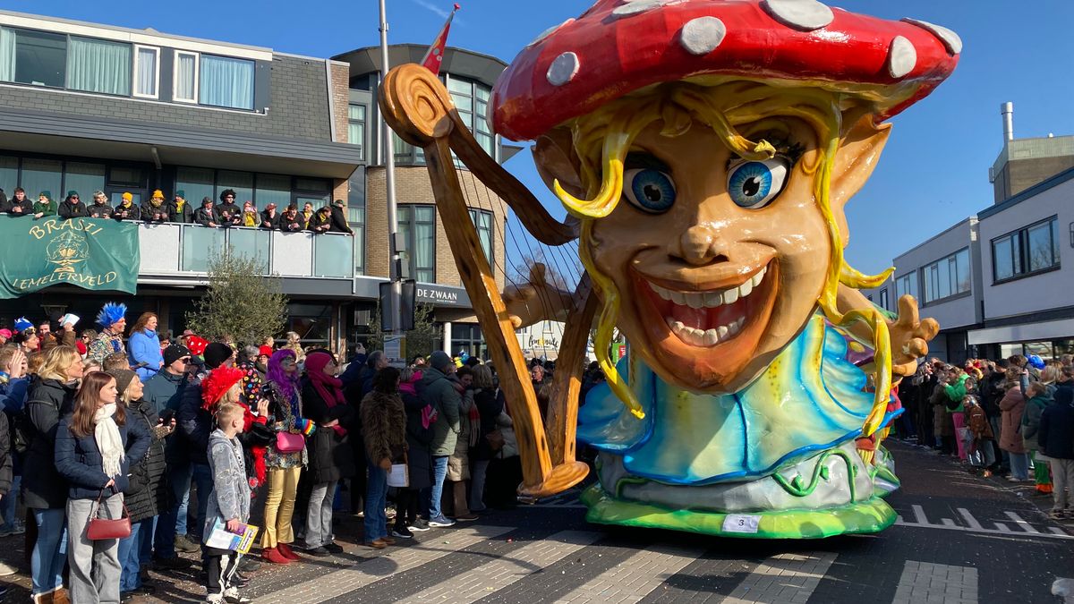 Grote Sallandse Carnavalsoptocht verwarmt de harten in centrum van Raalte