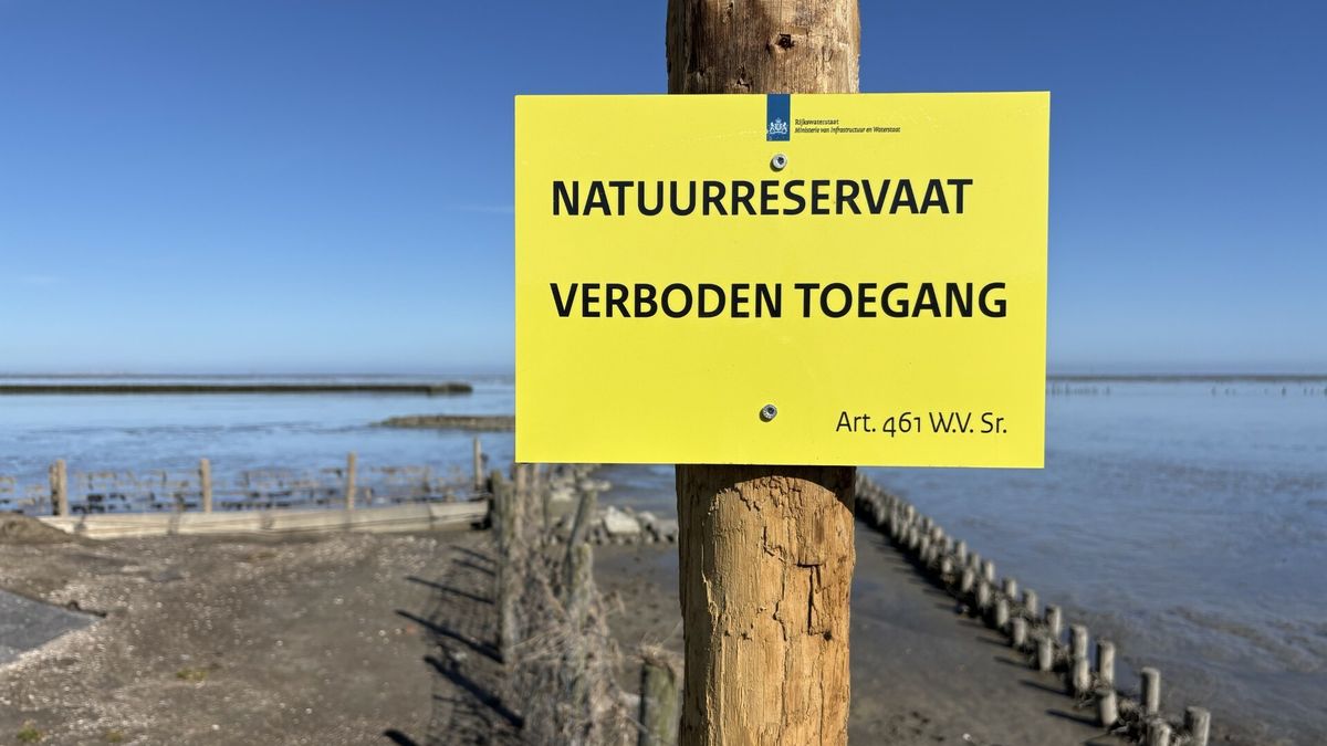 Borden verdwenen die verbieden om kwelders bij Ternaard en Wierum in te gaan