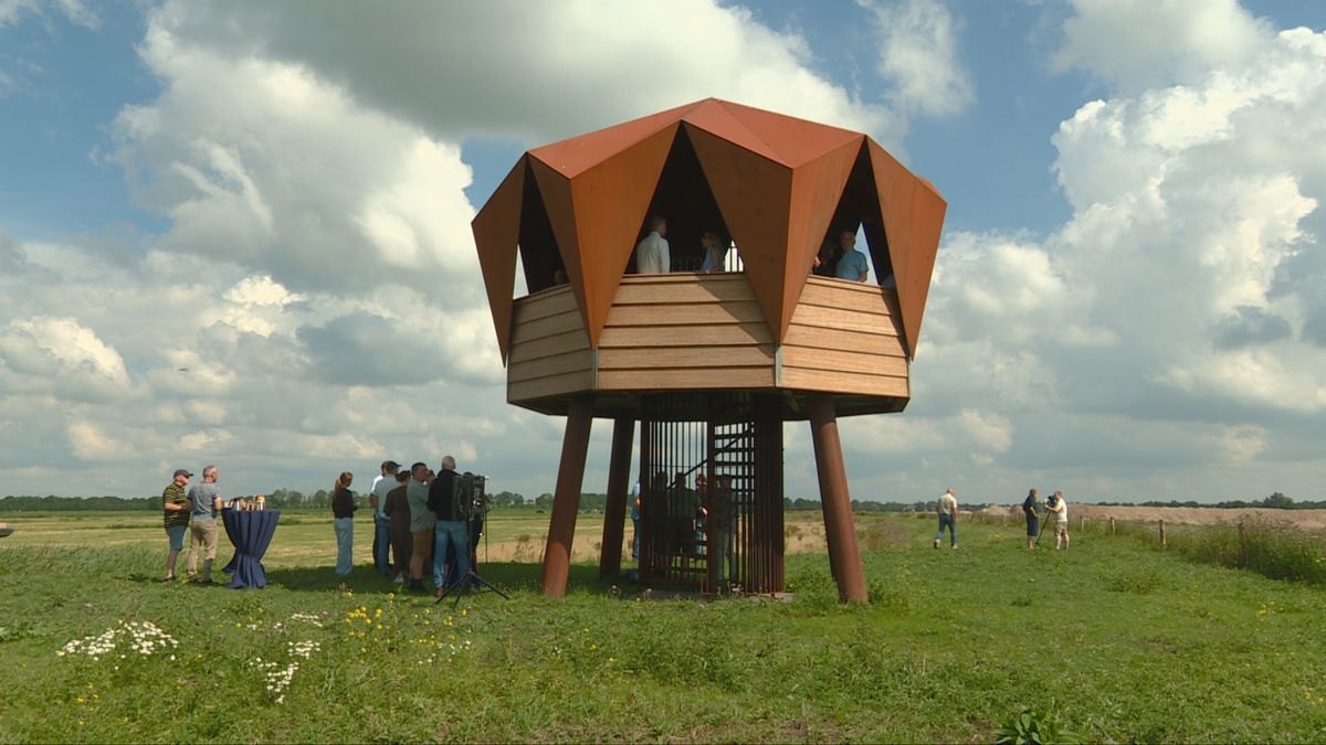 Boomstammen van 4.000 jaar oud verwerkt in nieuwe uitkijktoren van Oudega