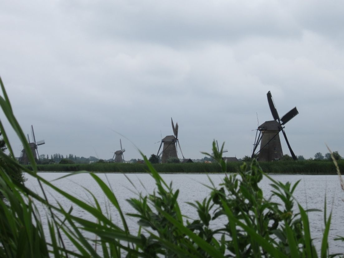 Kinderdijk, onderdeel van de gemeente Molenwaard