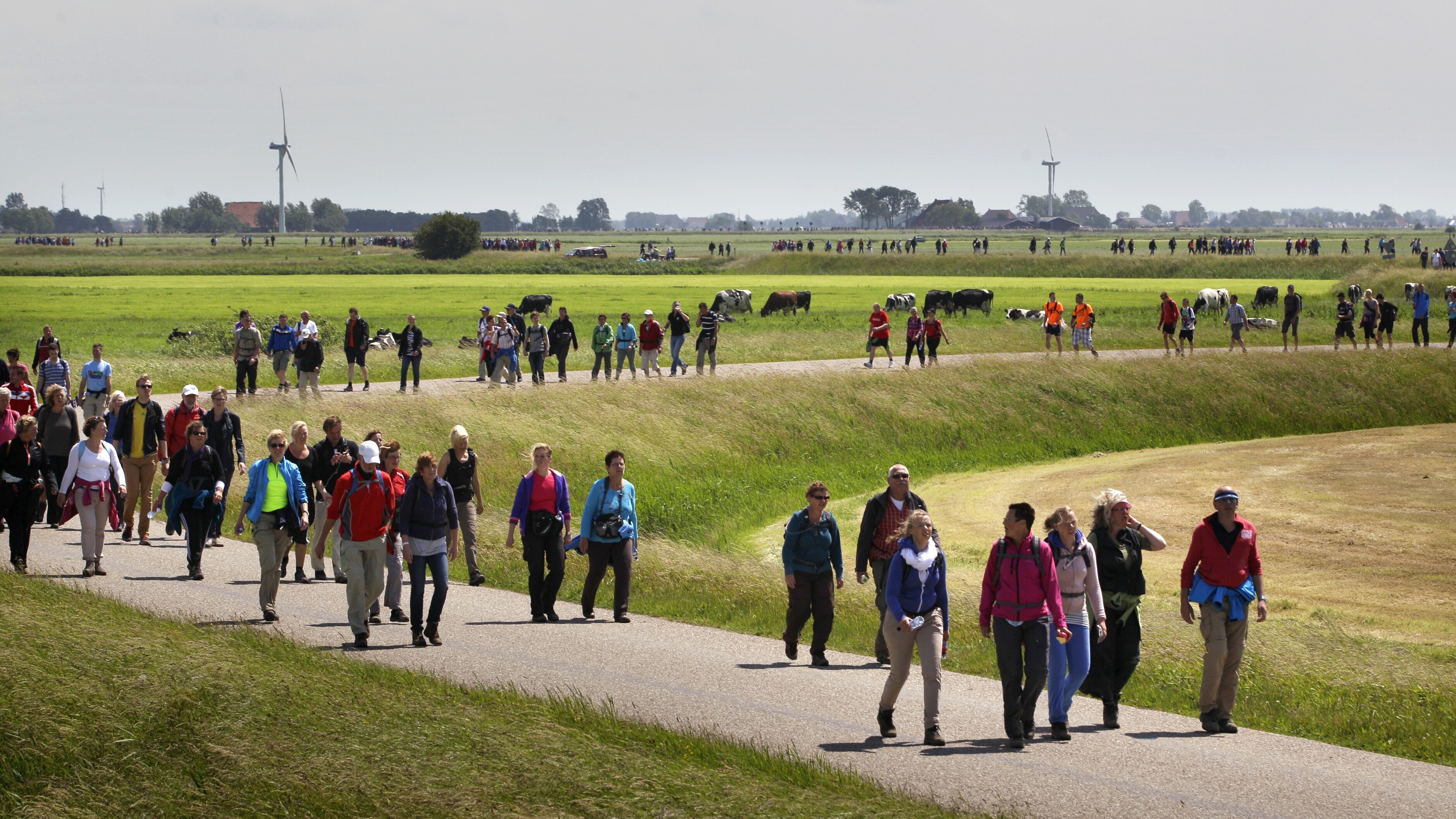 Dat de Slachtedijk aardig kan slingeren, mag duidelijk zijn