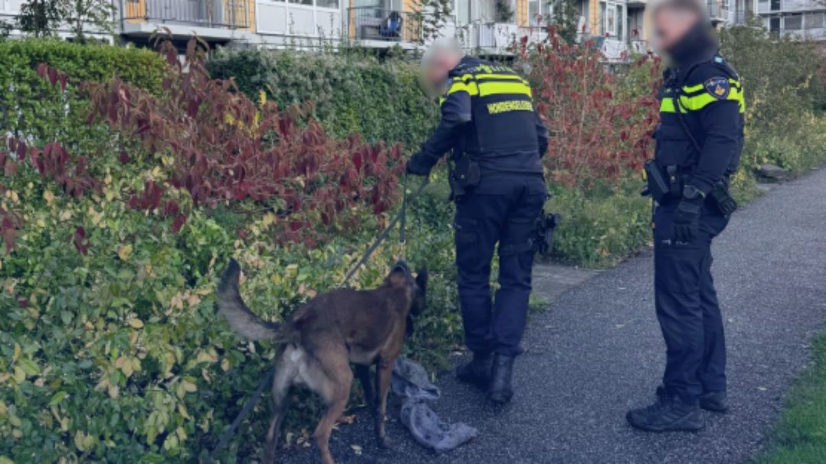 Jongens van 12, 13 en 15 opgepakt voor vuurwapenbezit