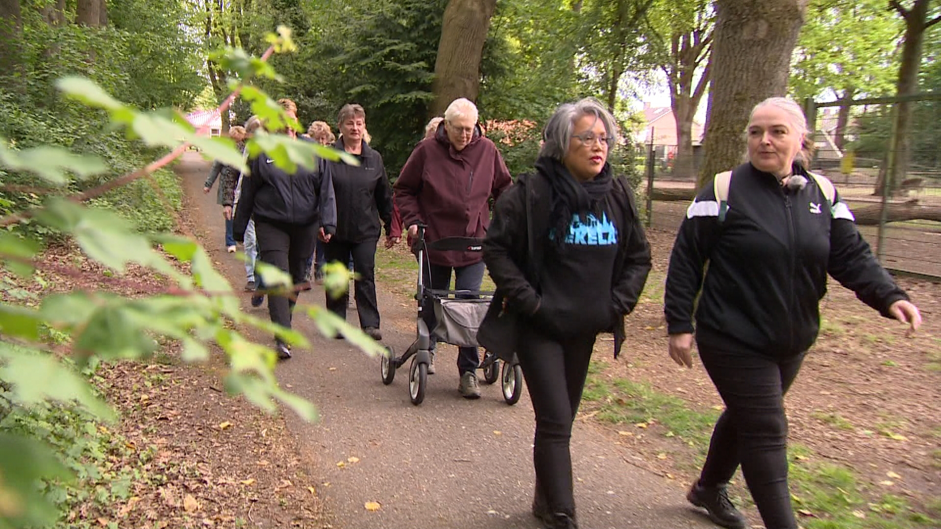 Wandelen door de provincie | Groningen Beweegt Samen