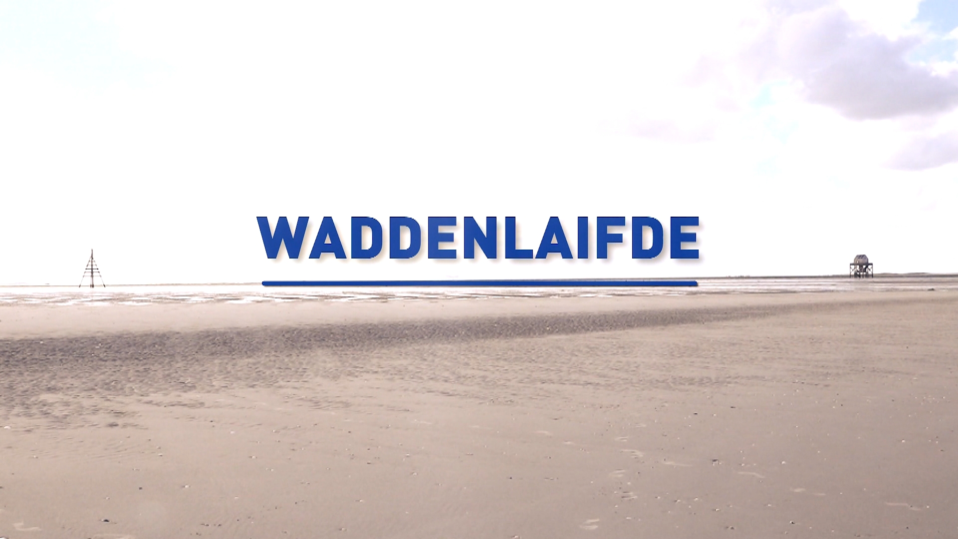 'Waddenlaifde' met garnalenvisser Henk Buitjes: 'Wie heuren hier gewoon'