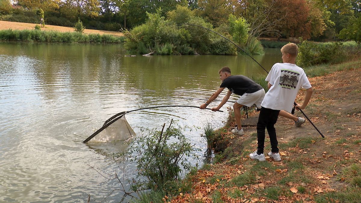 Steeds meer Zeeuwse jongeren gooien een hengel uit: 'Je bent gewoon buiten in de natuur'