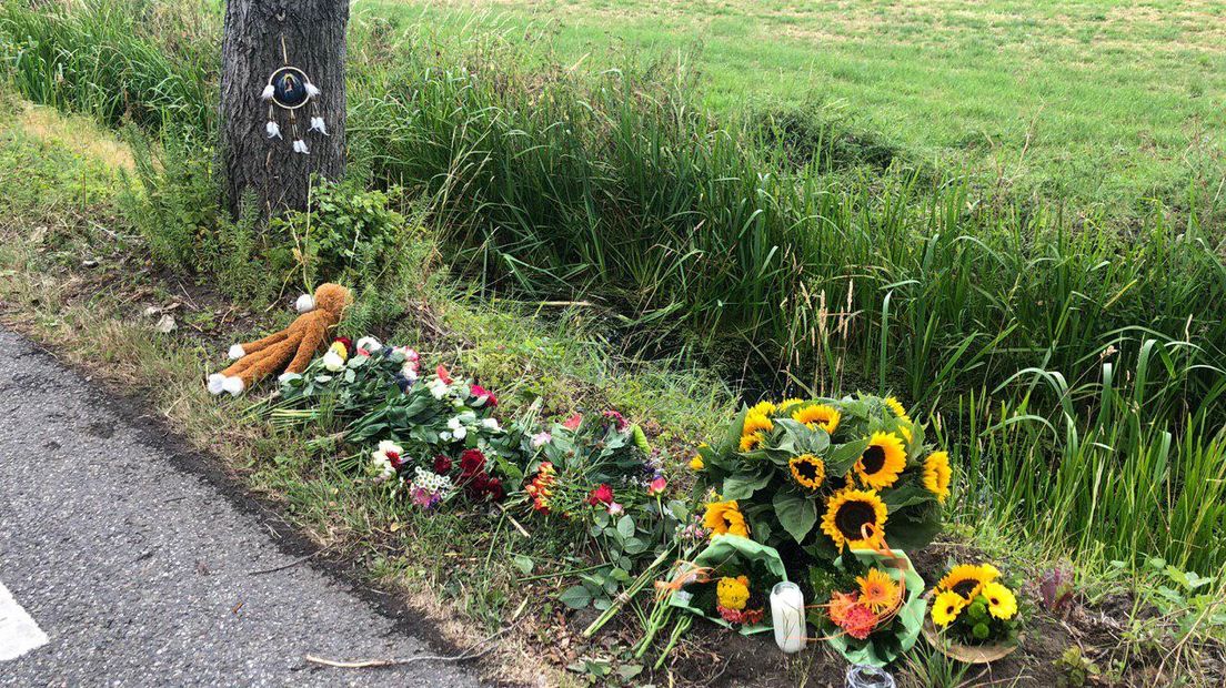 De 18-jarige Loes uit Epe is vrijdagnacht overleden nadat ze met haar fiets tegen een boom reed, in de sloot terecht kwam en verdronk. Dat maakt de politie maandag bekend op uitdrukkelijk verzoek van de nabestaanden.