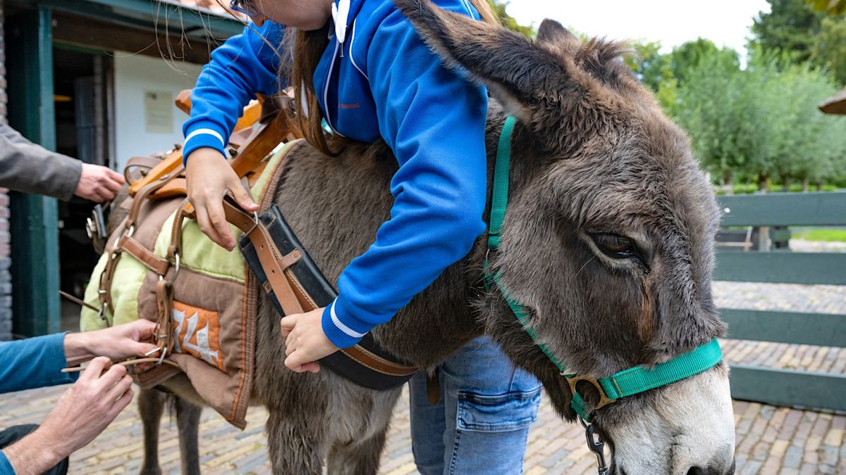 Hoe BuurtBoerderij De Nijkamphoeve niet alleen dieren redt, maar ook mensen
