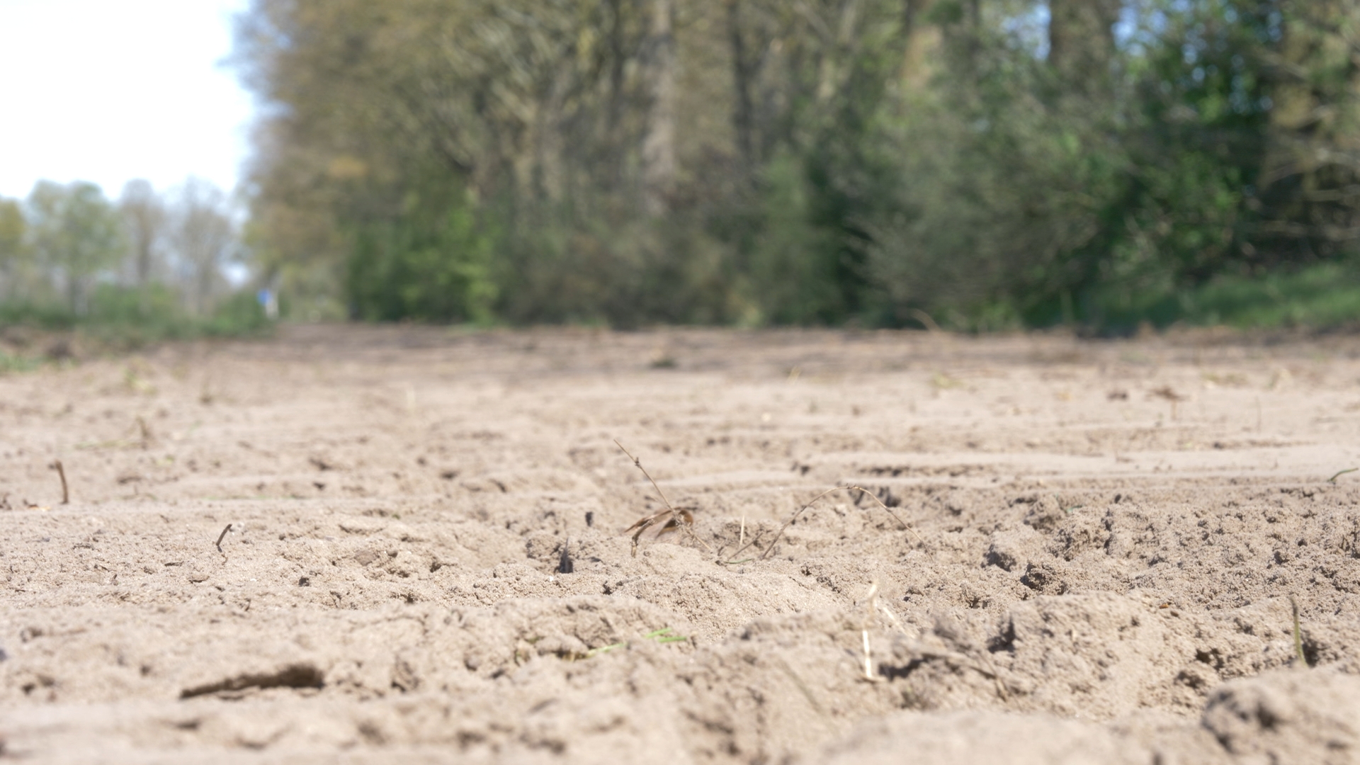 Nieuws