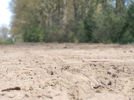 Drenthe raakt zandpaden kwijt: ‘Van de 800 kilometer is nog maar 100 over’