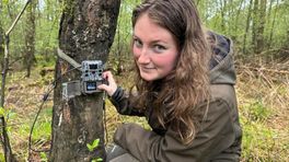 Wildcamera's van boswachter worden gestolen: 'Een kostbare zaak'