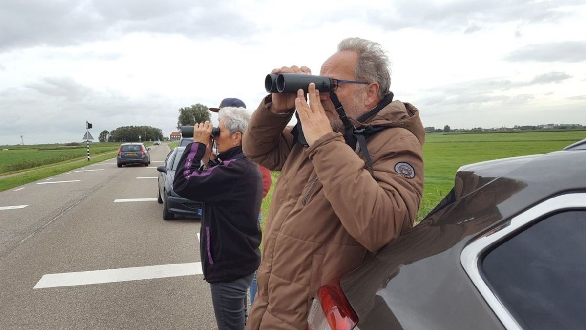 Vogelaars spoeden zich naar Weerribben-Wieden, keizerarend gespot!