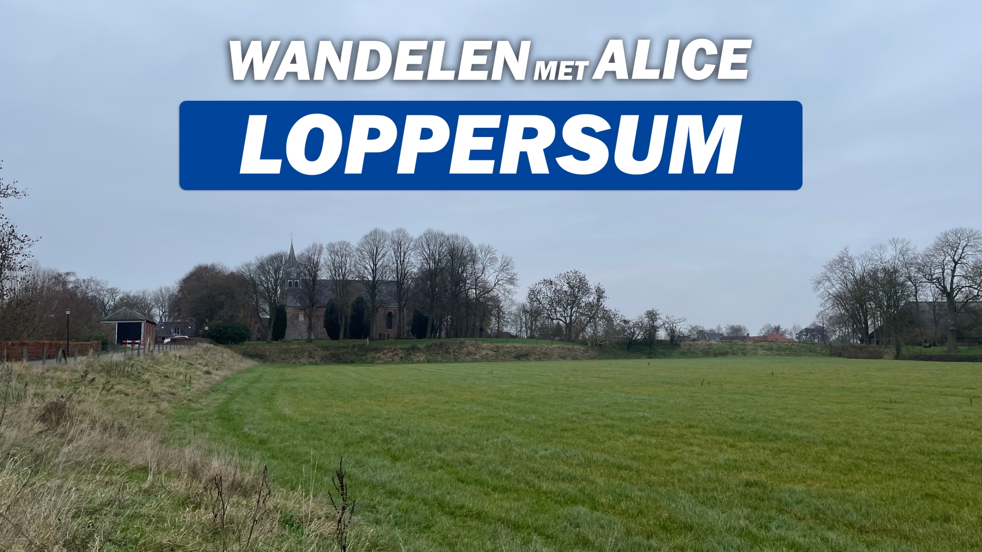 Wandelen met Alice: Loppersum