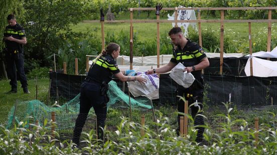 Drie gewonden bij steekpartij bij volkstuinen, man aangehouden Home