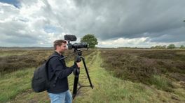 Marks Minuutje vanuit het vogelrijke Doldersummerveld.