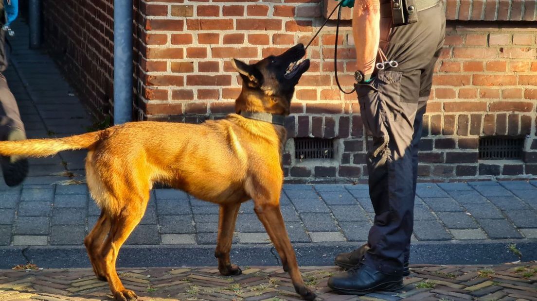 Bij de inval in de woning aan de Weverstraat werd onder meer een politiehond ingezet.