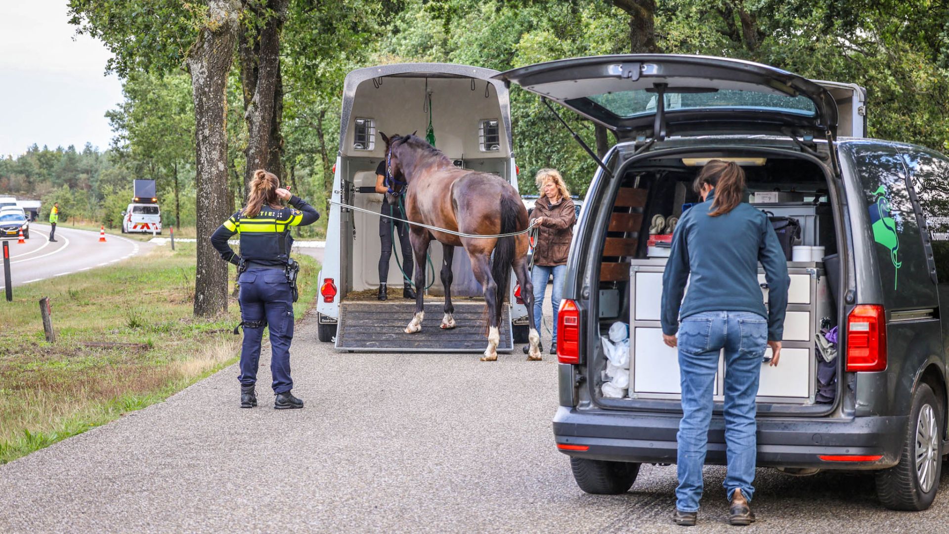 Paard gaat vreselijk tekeer in rijdende trailer