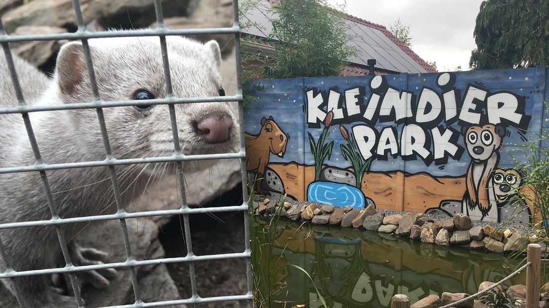 Het kleine dierenpark