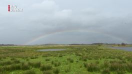 Zo ziet de taartpunt er nu uit