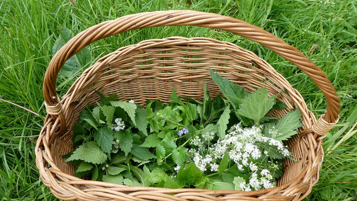 Op pad in de Drentse natuur voor liefhebbers van fotografie, vleermuizen en geschiedenis