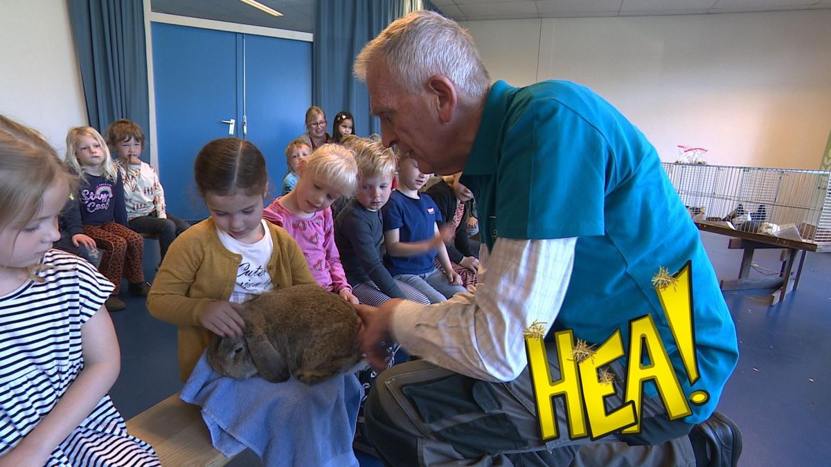 HEA! Een beestenboel in Ternaard