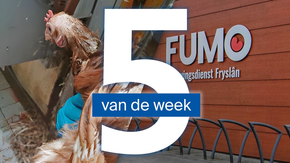 Misstanden bij pluimveeslachterij Dronryp en bezuinigingen op de FUMO