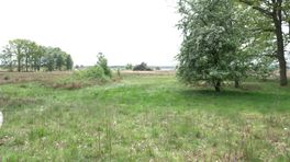 Insecteninventarisatie op het Dwingelderveld